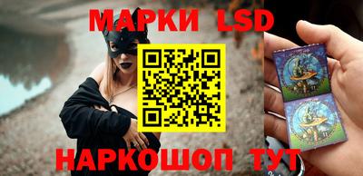 тгк Краснодар