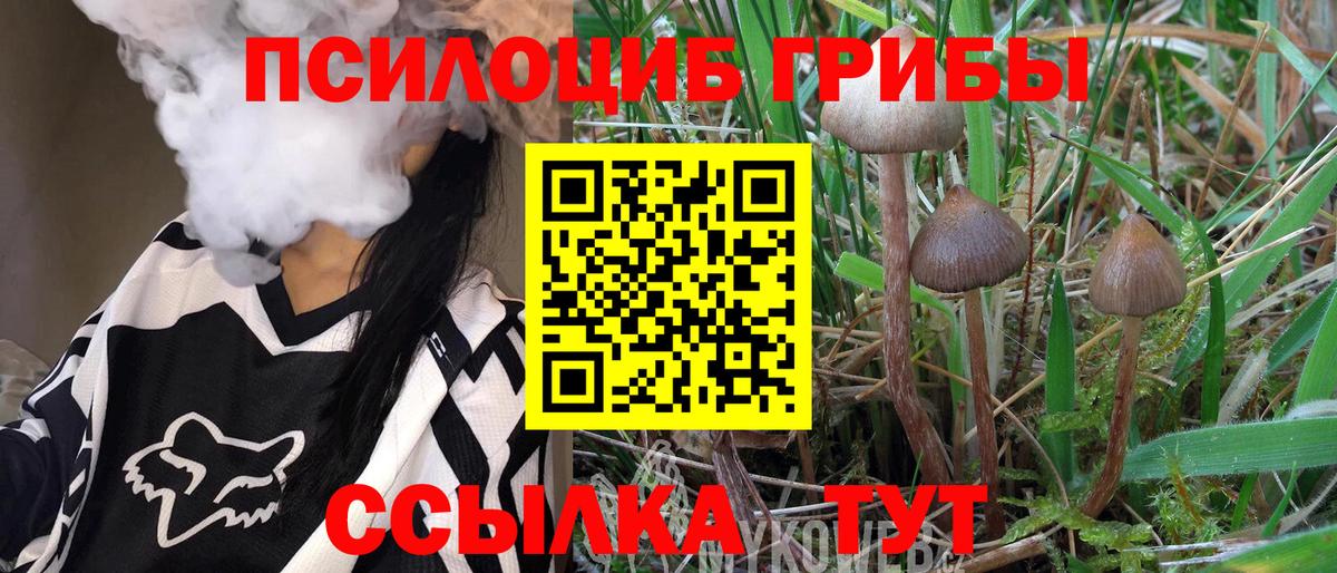 Псилоцибиновые грибы GOLDEN TEACHER Кириши